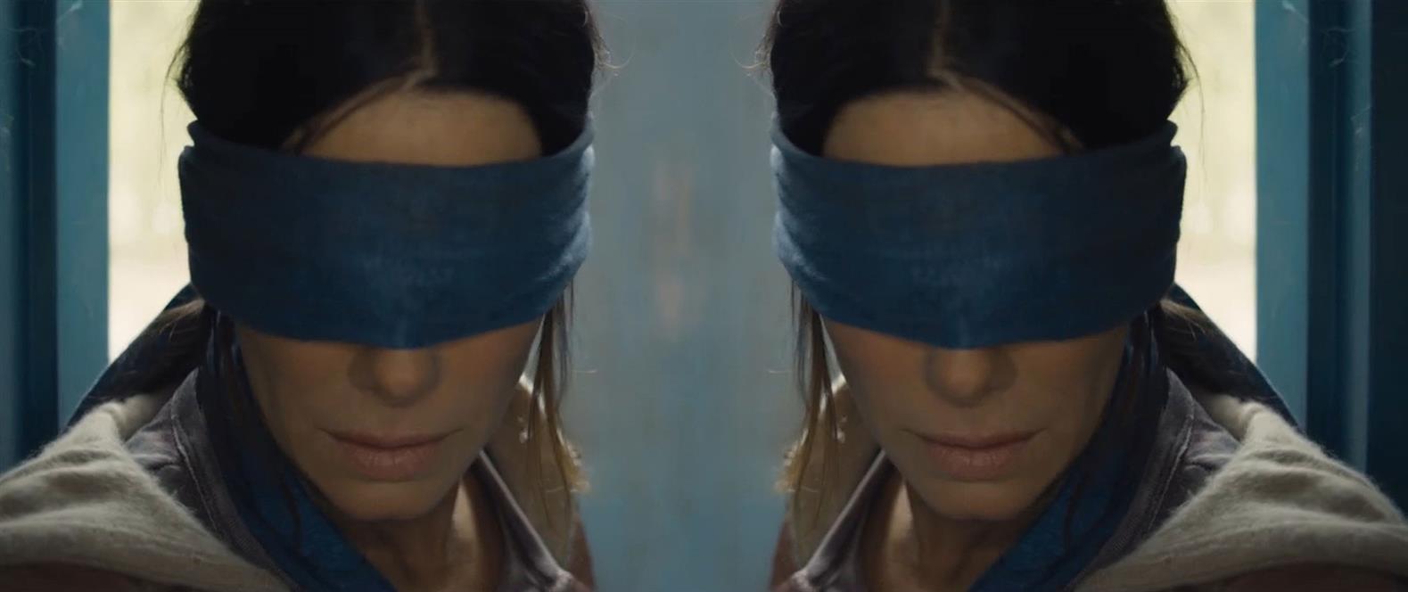 bird box